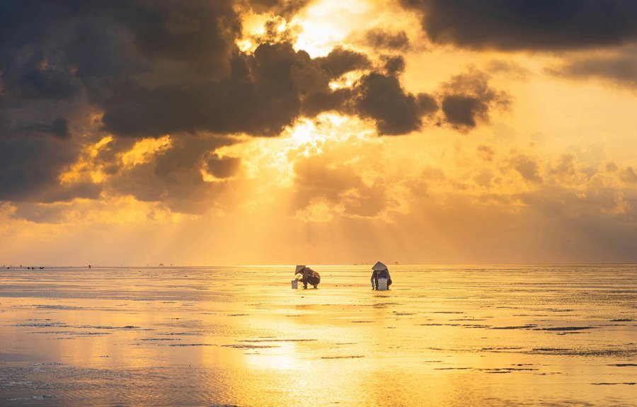 advanced business intelligence insights